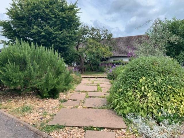 Fsc Slapton Ley Hostel Kingsbridge  Esterno foto